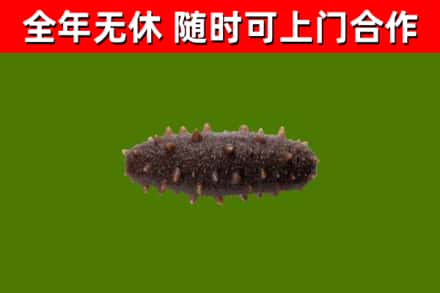 永登烟酒回收干海参.jpg